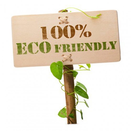 7355639 - eco friendly sign message on a wooden panel and green plant - image is isolated on a white background